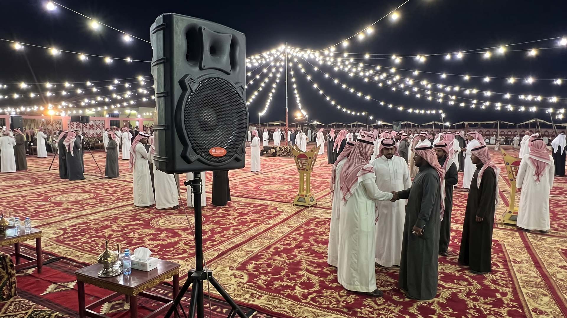 أنظمة الصوت والشاشات والإضاءة الاحترافية